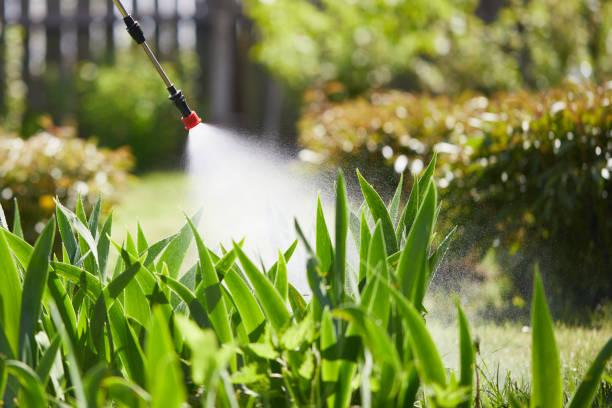 24/7 Emergency Ant Control experts in La Verkin, UT